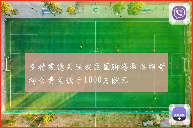 多特蒙德关注波黑国脚塔希洛维奇转会费或低于1000万欧元