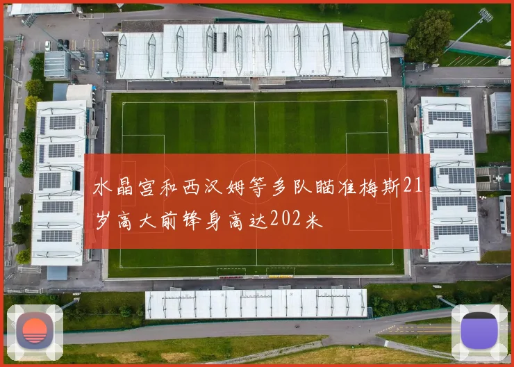 水晶宫和西汉姆等多队瞄准梅斯21岁高大前锋身高达202米