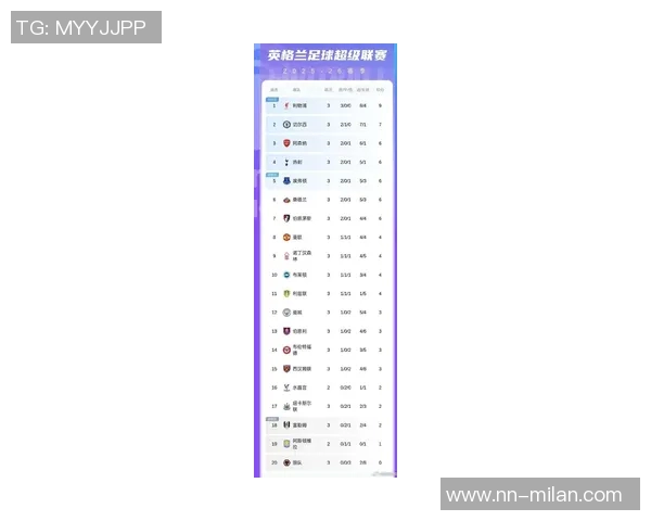 2025年英超俱乐部转会费支出榜揭晓利物浦以483亿欧元位居第一
